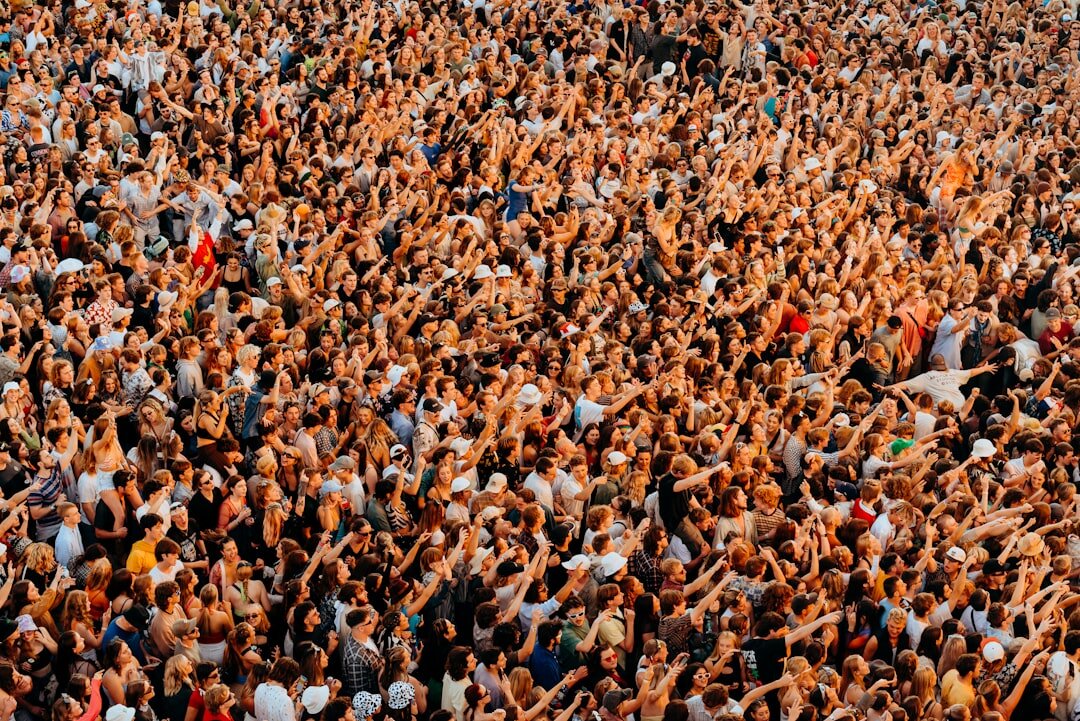 crowd at music festival